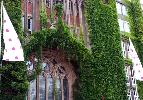 The Role Of Online Reputation Management In Growing A Wall Graphics Company In Burnaby, BC